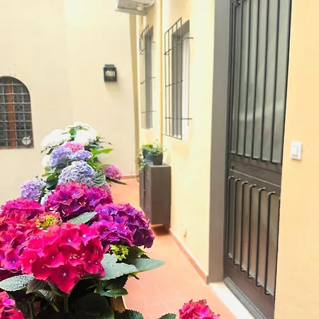 Blue - Pitti Place Firenze