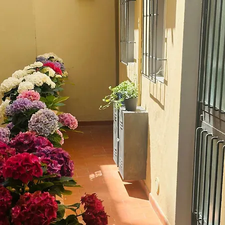 Blue - Pitti Place Appartamento Firenze