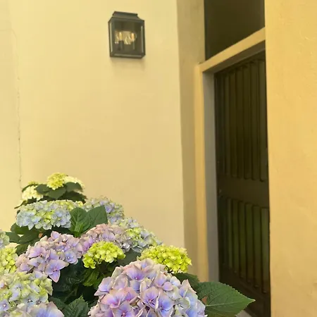 Blue - Pitti Place *