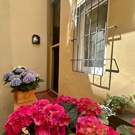 Blue - Pitti Place